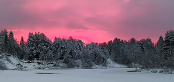 Januari 2021 i Hörneå